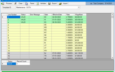 What Is the Telmar Template Import?
